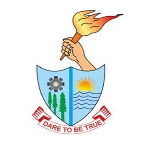 S.C.D. Government College logo