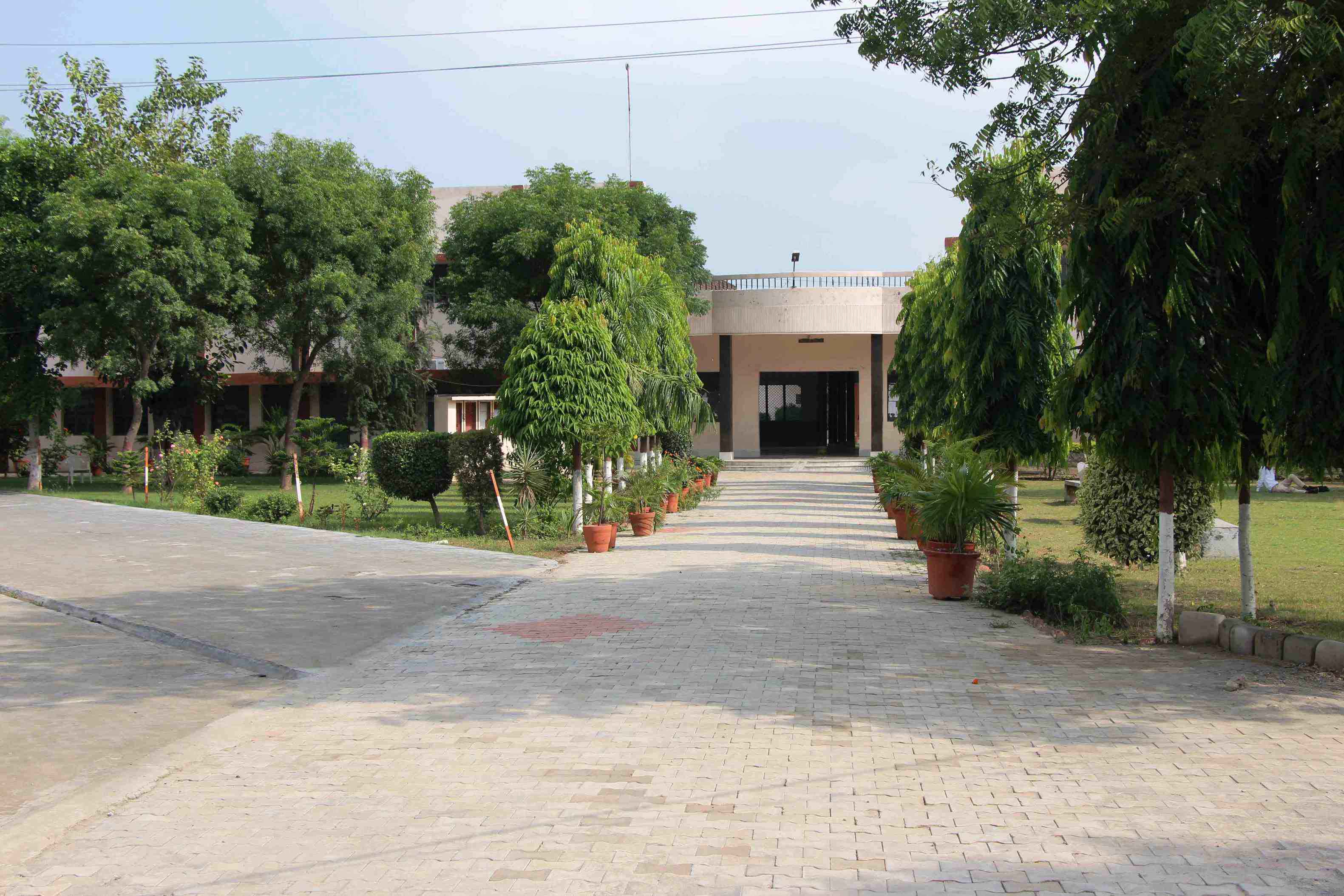 DAV College