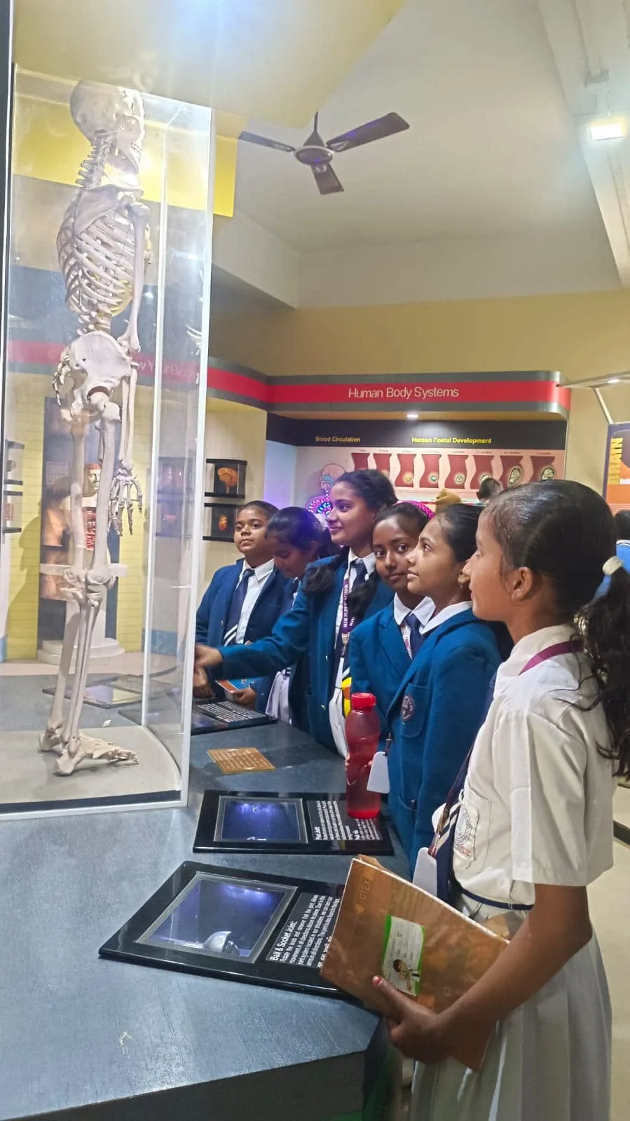 MJM Public School