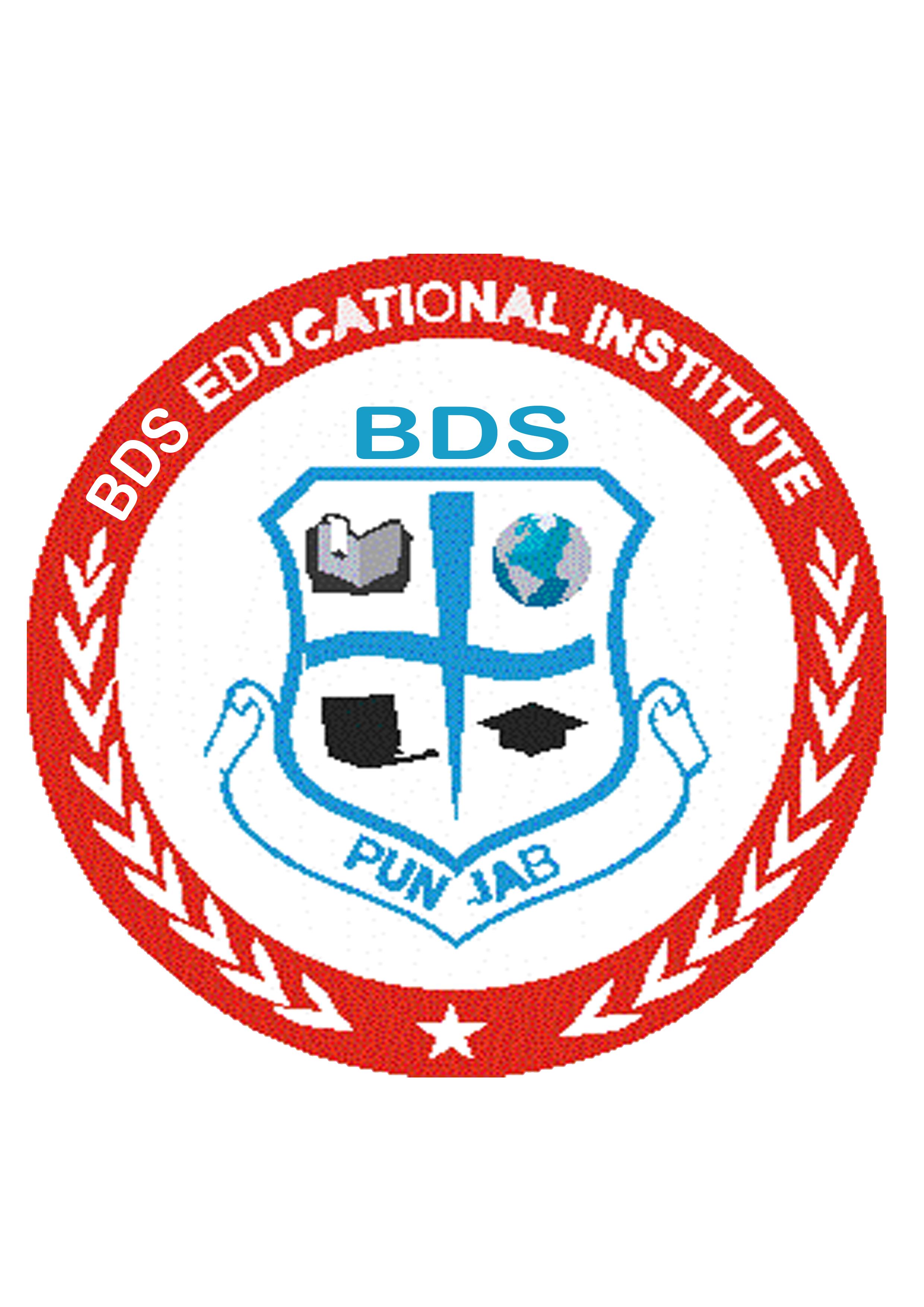 BDS EDUCATIONAL INSTITUTE logo