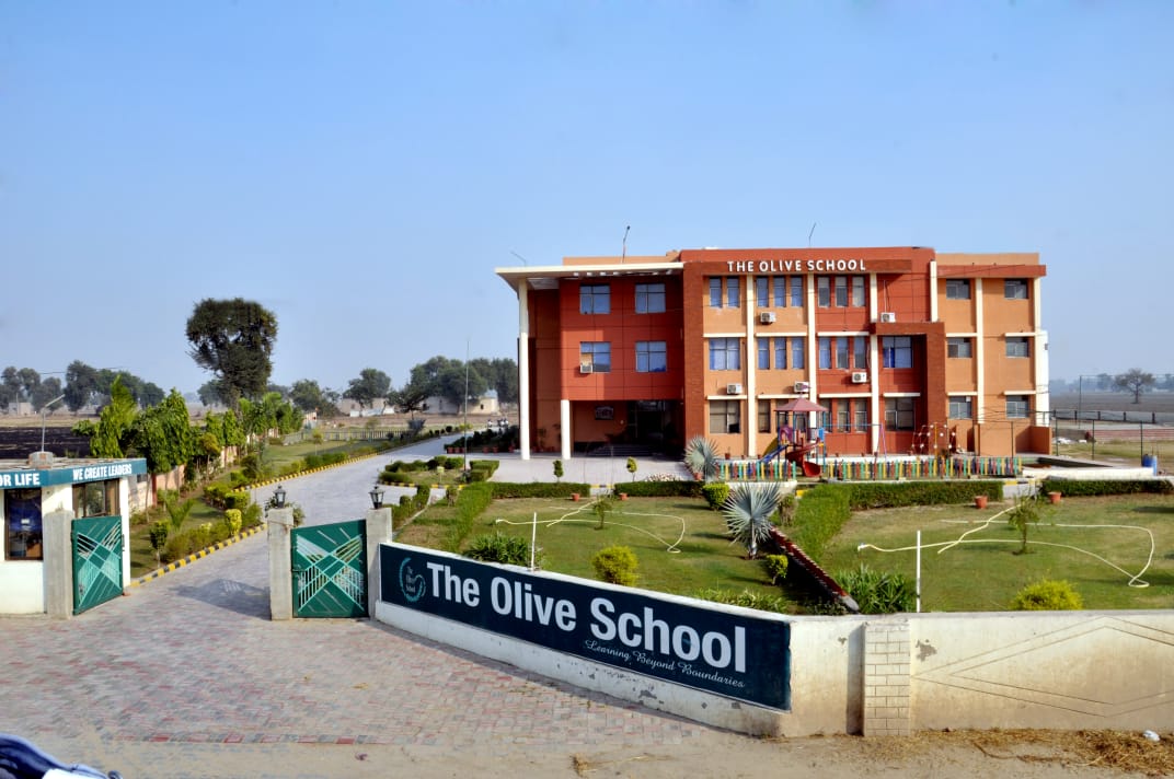 The Olive School