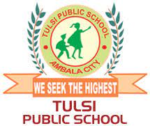 Tulsi Public Sen. Sec. School logo