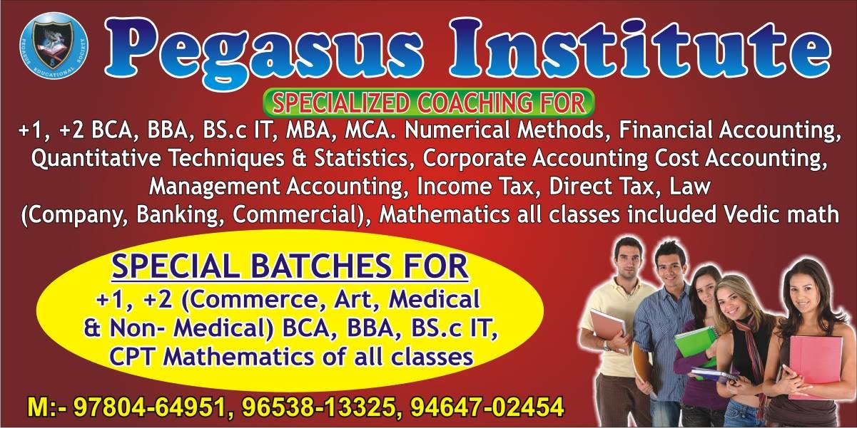 Pegasus Institute