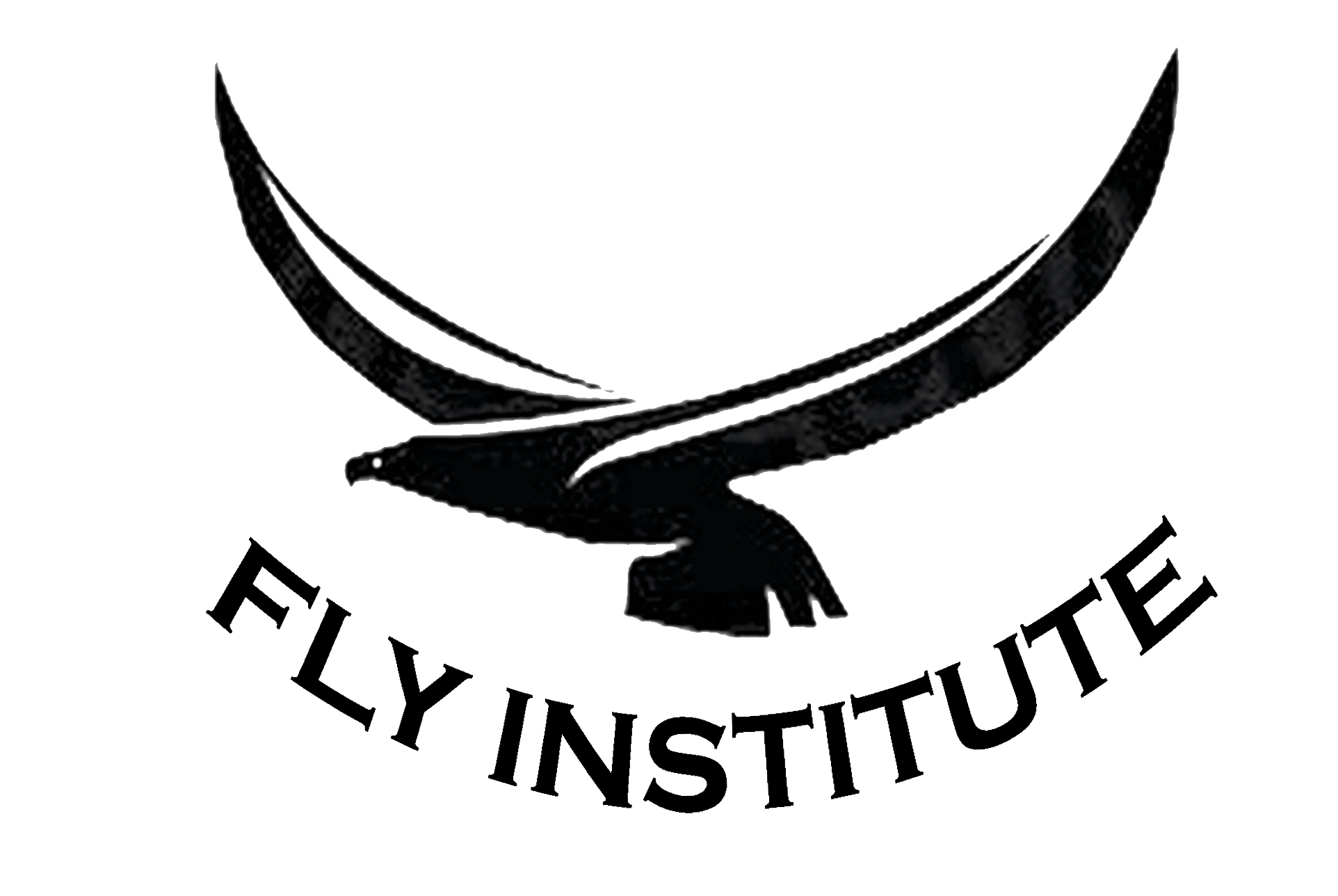 Fly Institute logo