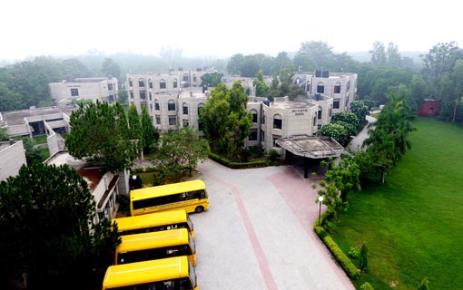 Bill Clinton School