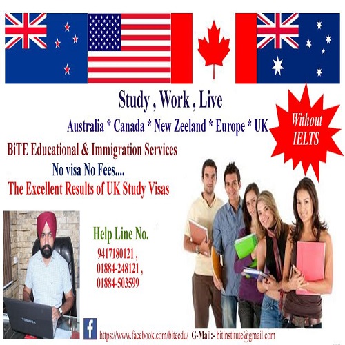 Bite Education & Immigration Services
