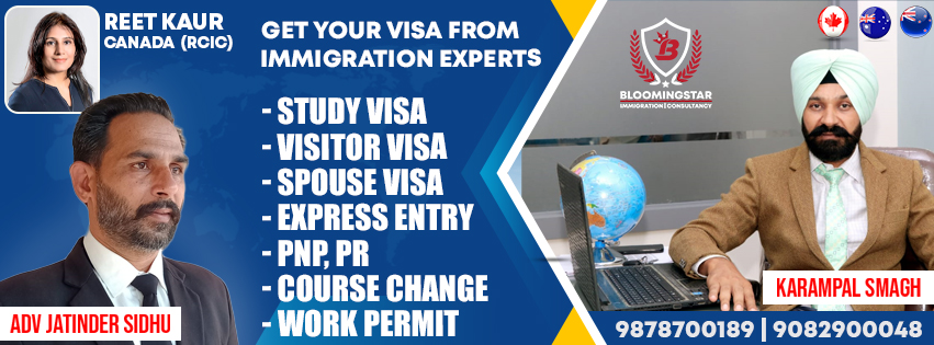 Blooming Star Immigration Consultency