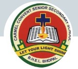 Carmel Convent Sr. Sec. School logo