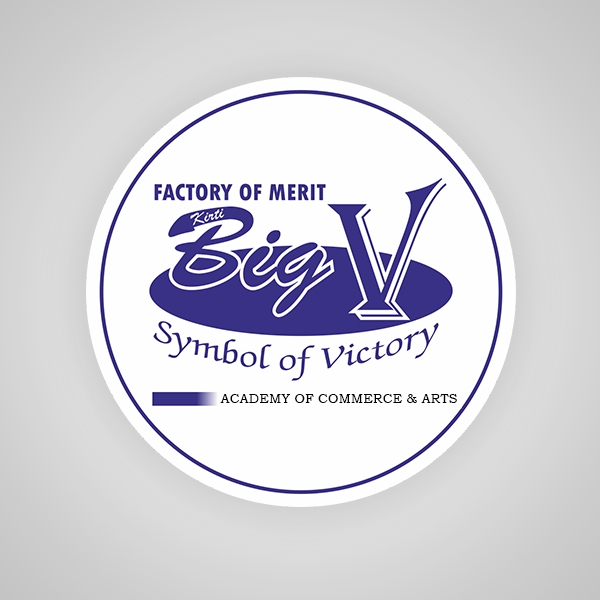Big V Commerce Coaching Classes logo