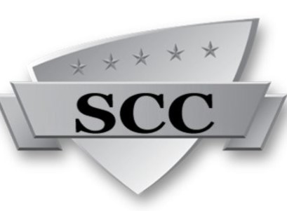 Sunny Coaching Classes logo