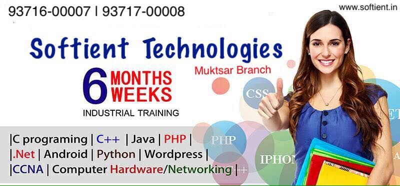 Softient Technologies