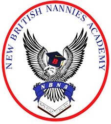 Learn and Fly Academy logo
