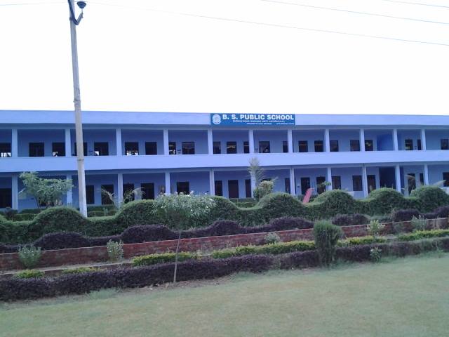 B. S. Public School