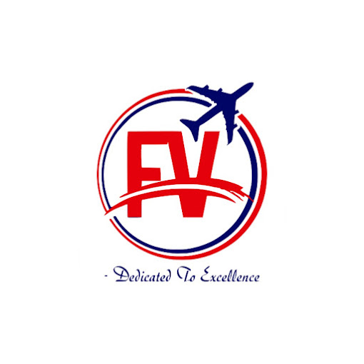 Flair Vision logo