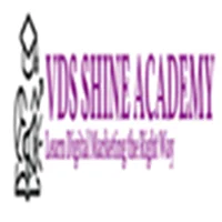 VDS Shine Academy logo