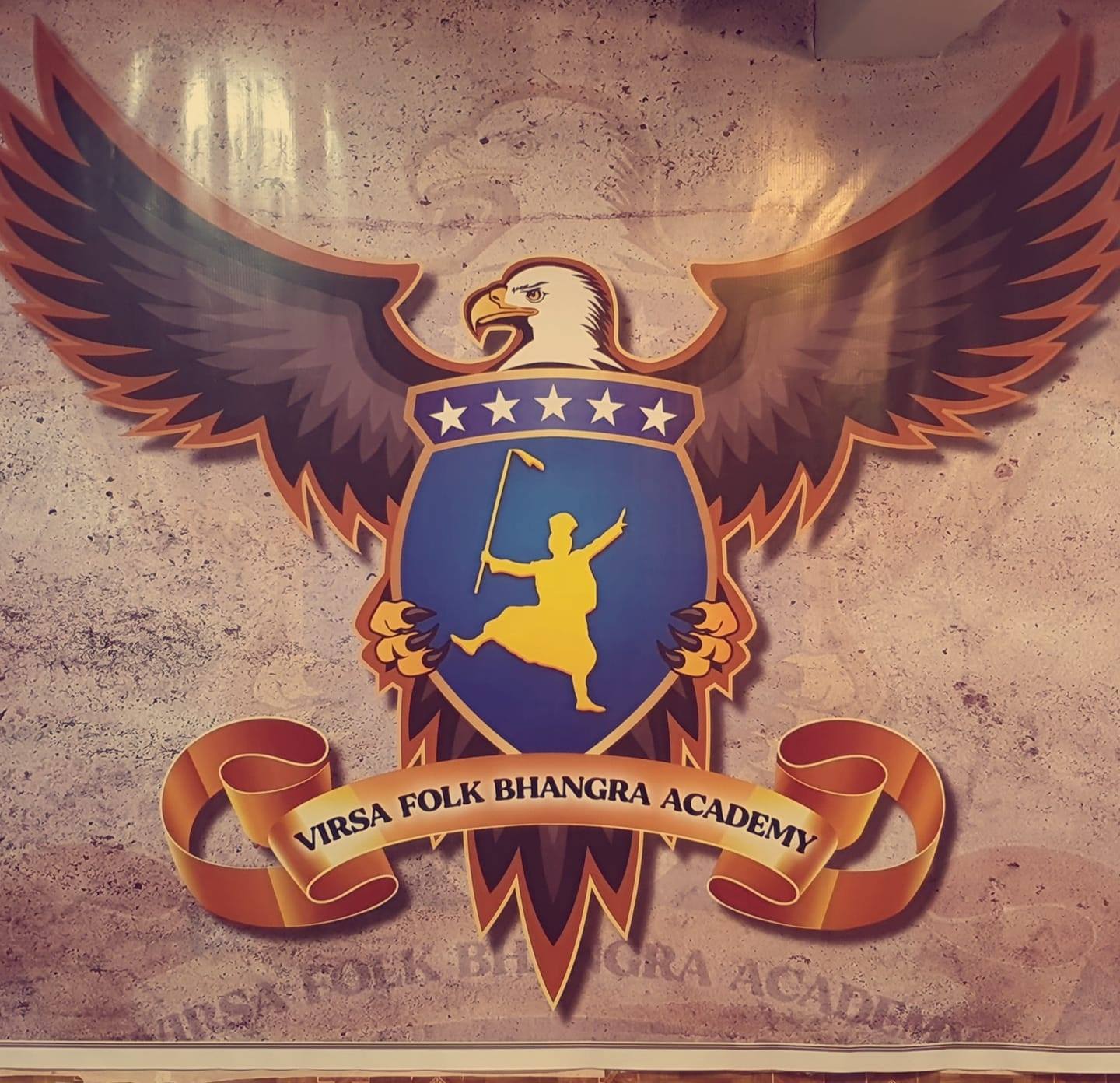 Virsa Bhangra Academy logo