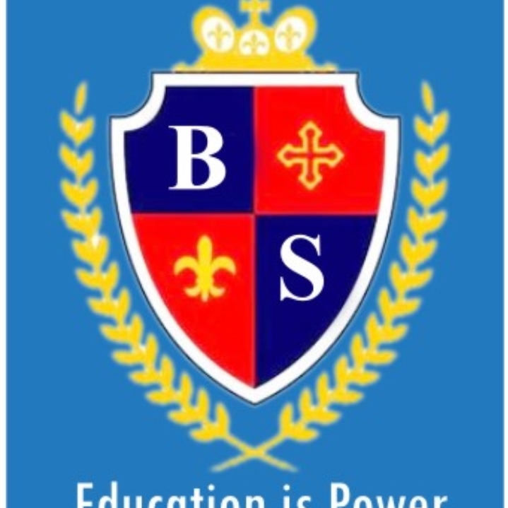 B.S.S Academy logo