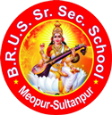 Babu Ram Ujagar Singh Convent Senior Secondary School logo