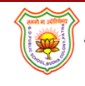 B.D. Public School logo