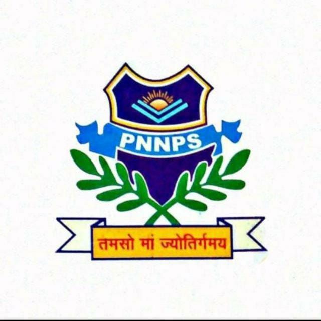 P.N National Public School logo