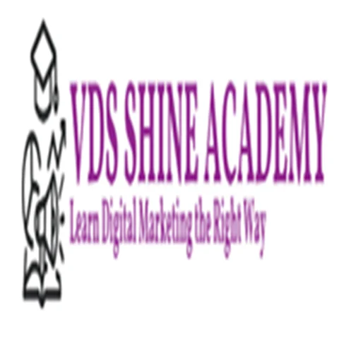 VDS Shine Academy logo