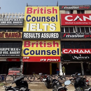 British Counsel