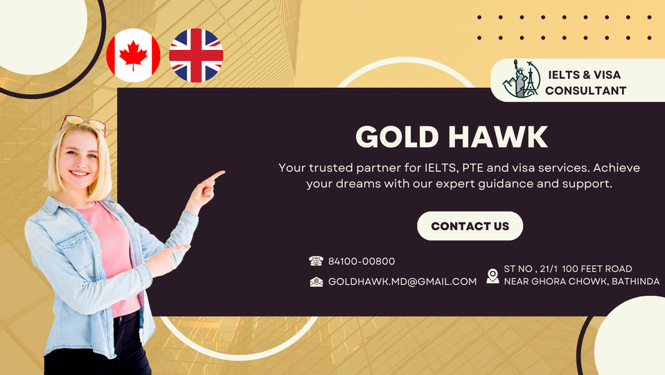 Gold Hawk