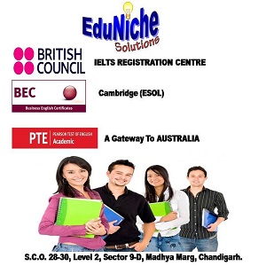 Eduniche Solutions