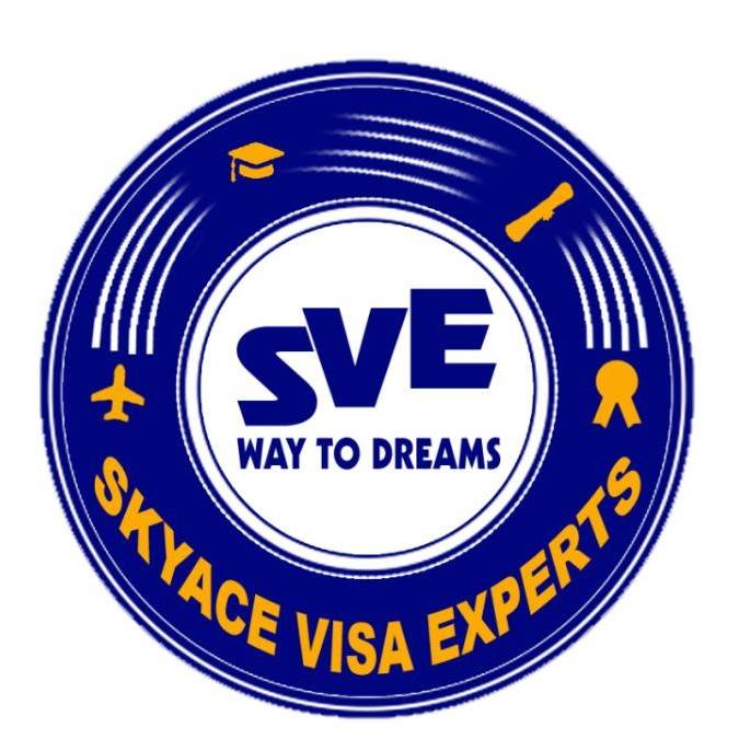 Skyace Visa Experts logo
