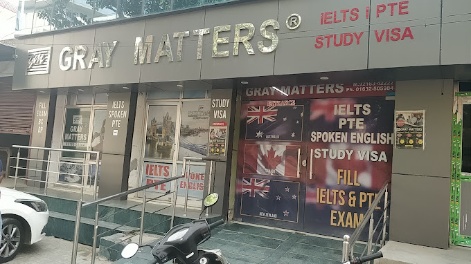 Gray Matters