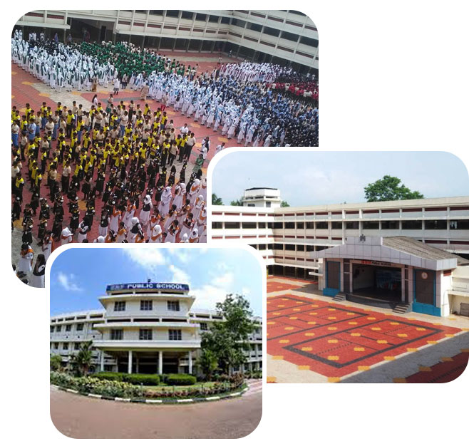 I.E.S Public School