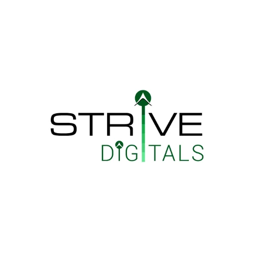 SEO & Digital Marketing Consultant logo