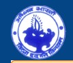Abhinav Bharti High School logo